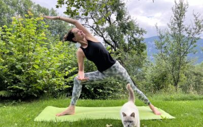 Mai-Retreat in der Steiermark